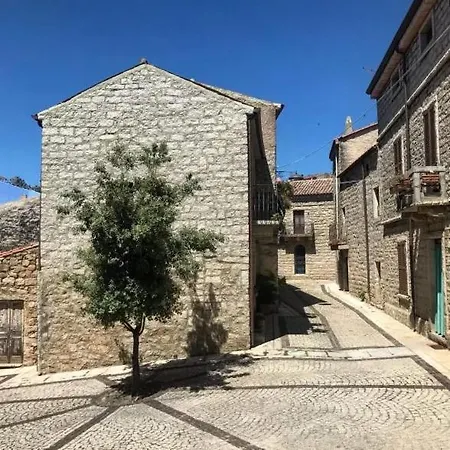 Guest Art In Gallura - Ixihome
