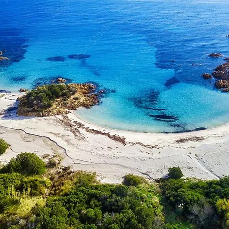 Semesterbostad Guest Art In Gallura - Ixihome