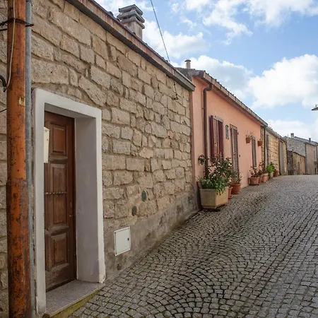 Holiday home Guest Art In Gallura - Ixihome